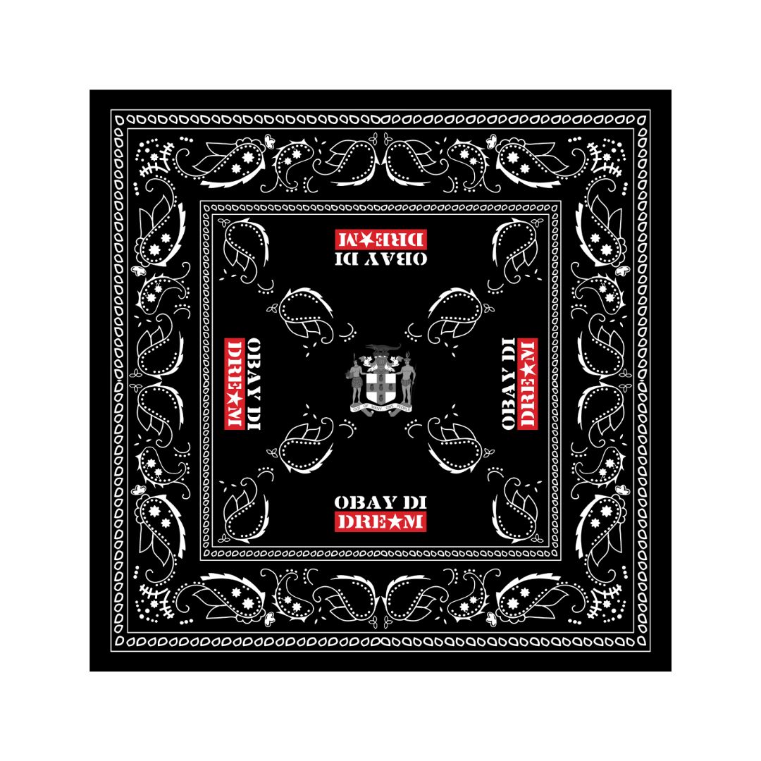 LIMITED RELEASE PAISLEY PRINT BANDANA HEAD SCARF